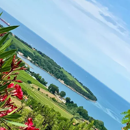 Mandala Анкаран